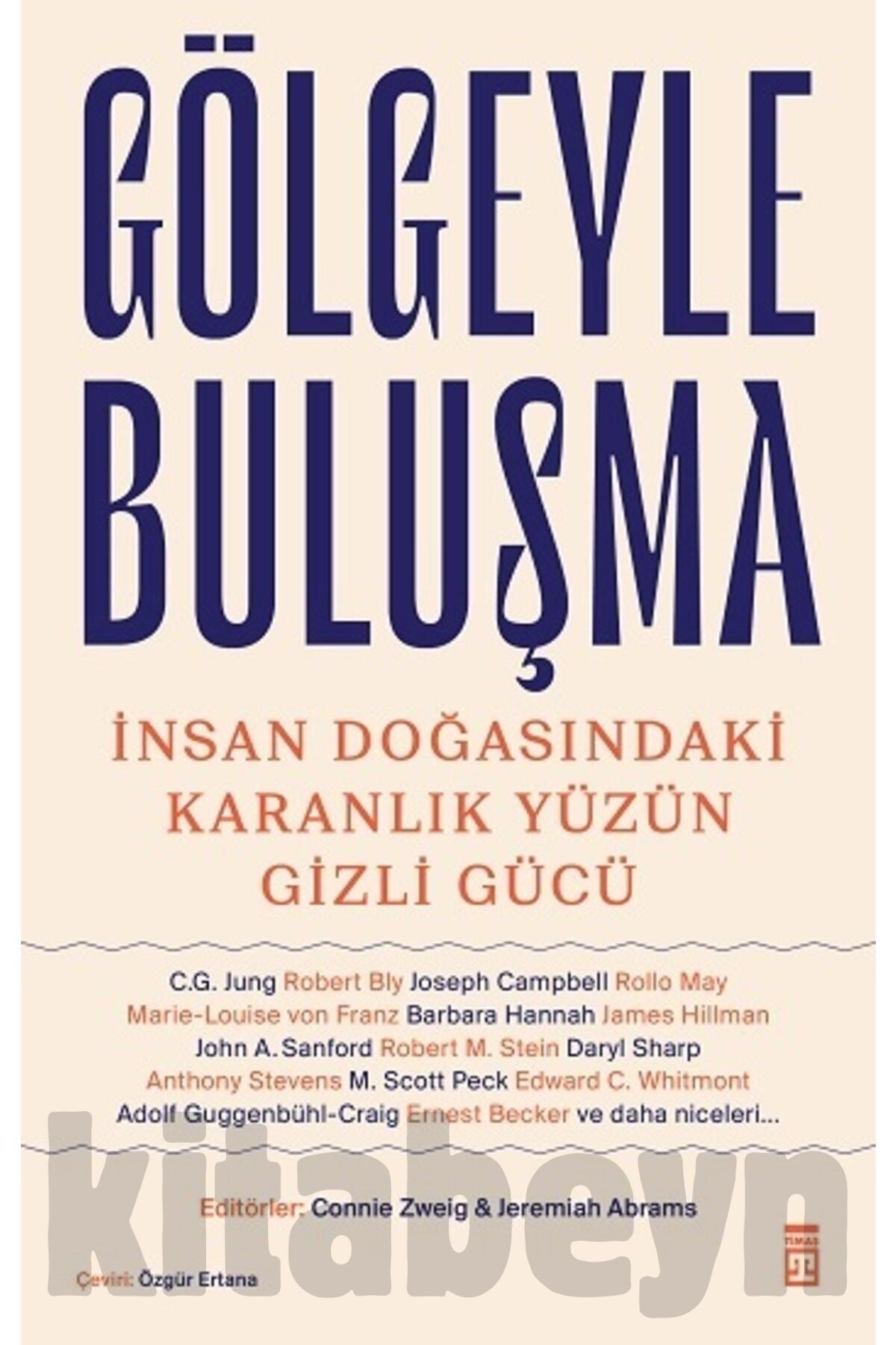 Gölgeyle Buluşma - İnsan Doğasındaki Karanlık Yüzün Gizli Gücü Rollo May