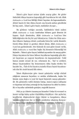 İslam’a Göre Hayat Ahmed Faiz