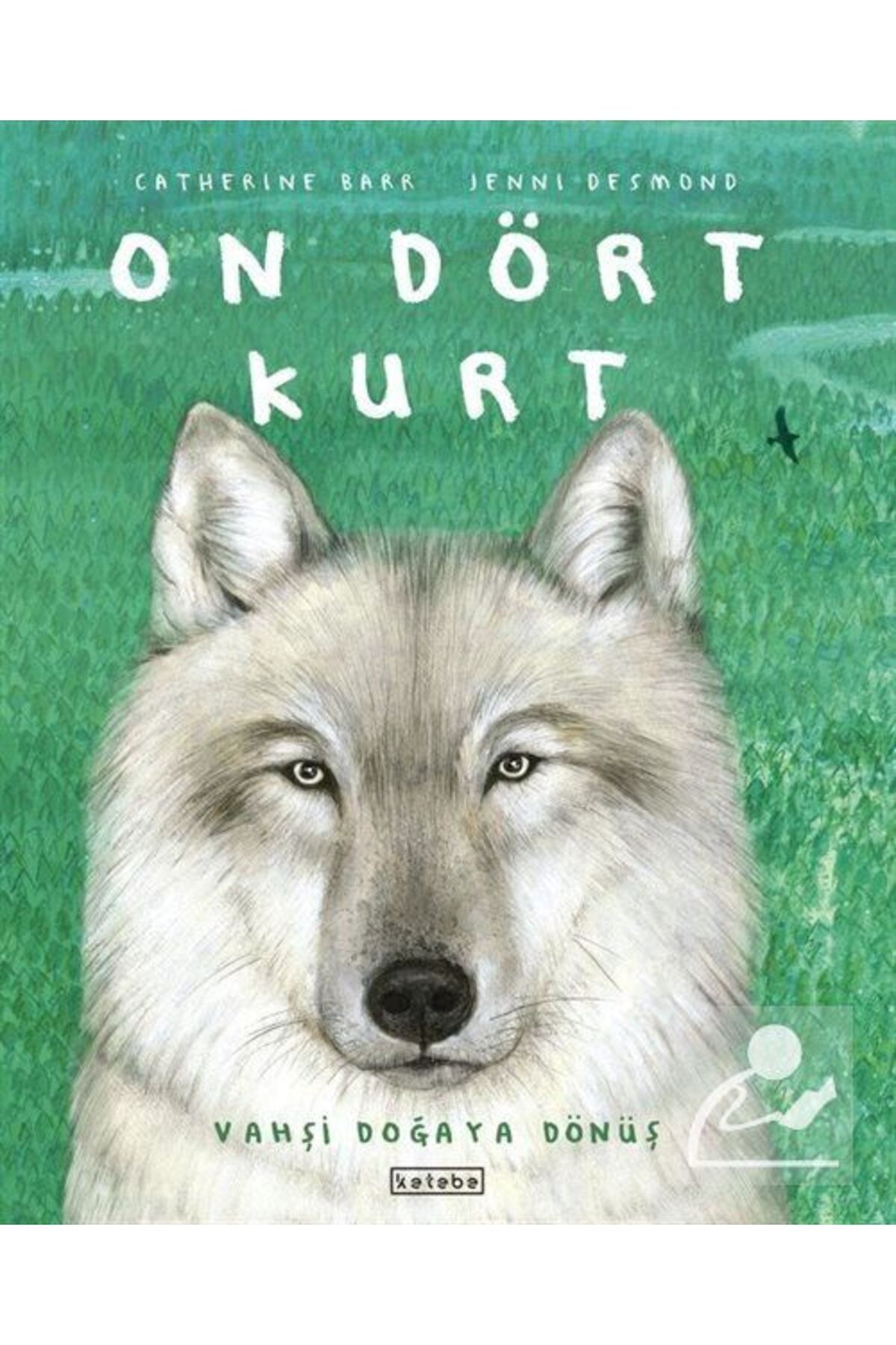 On Dört Kurt