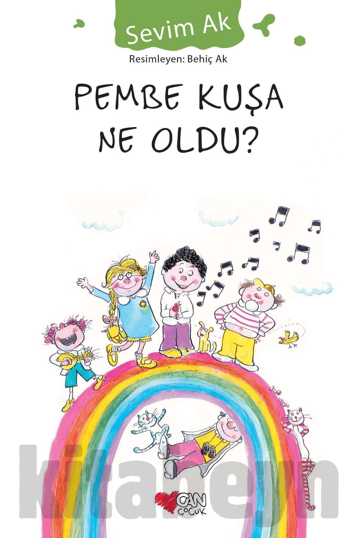 Pembe Kuşa Ne Oldu?
