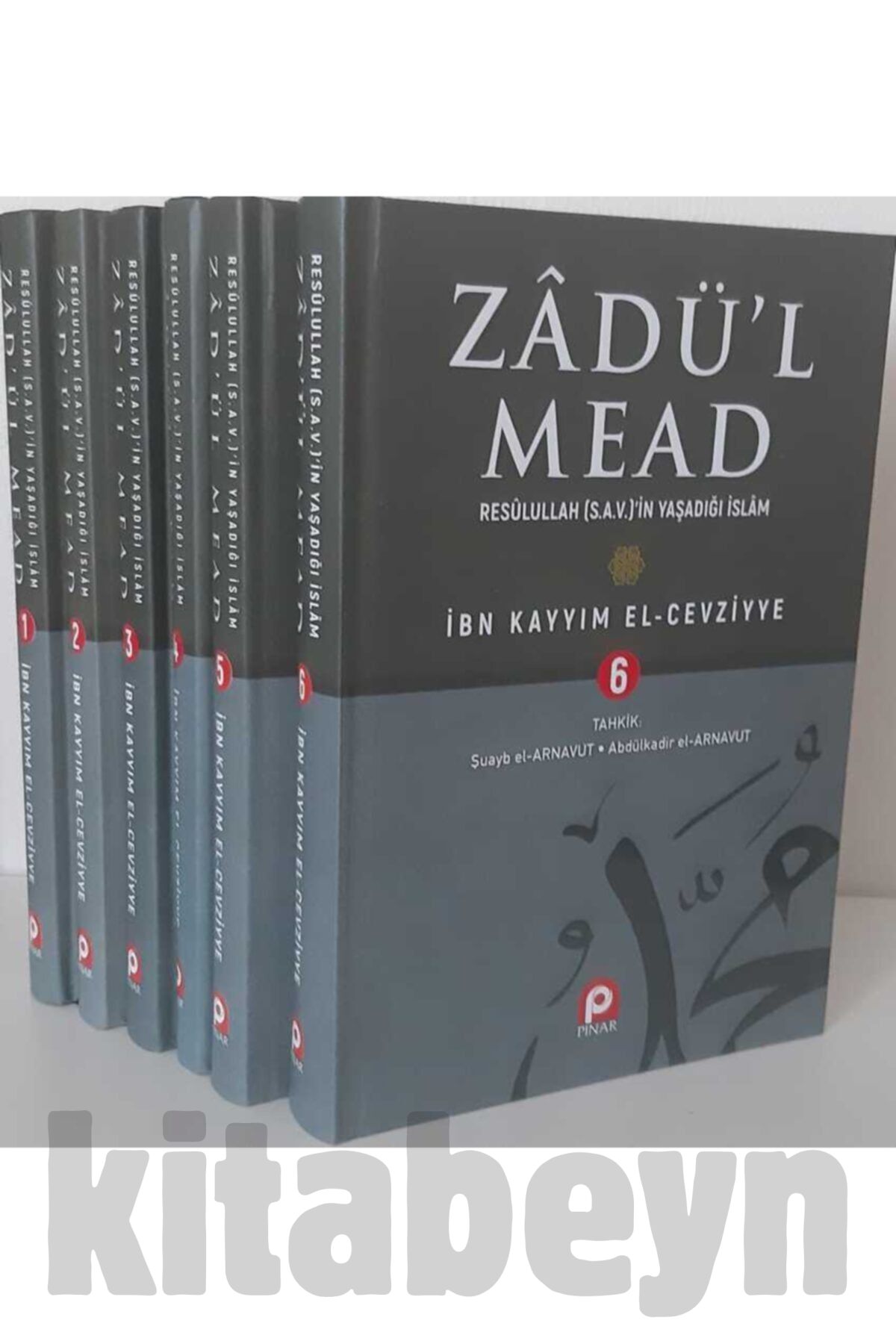 Zadul Mead, Resulullah'ın Yaşadığı Islam (6 Cilt Takım)