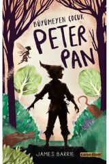 Büyümeyen Çocuk Peter Pan