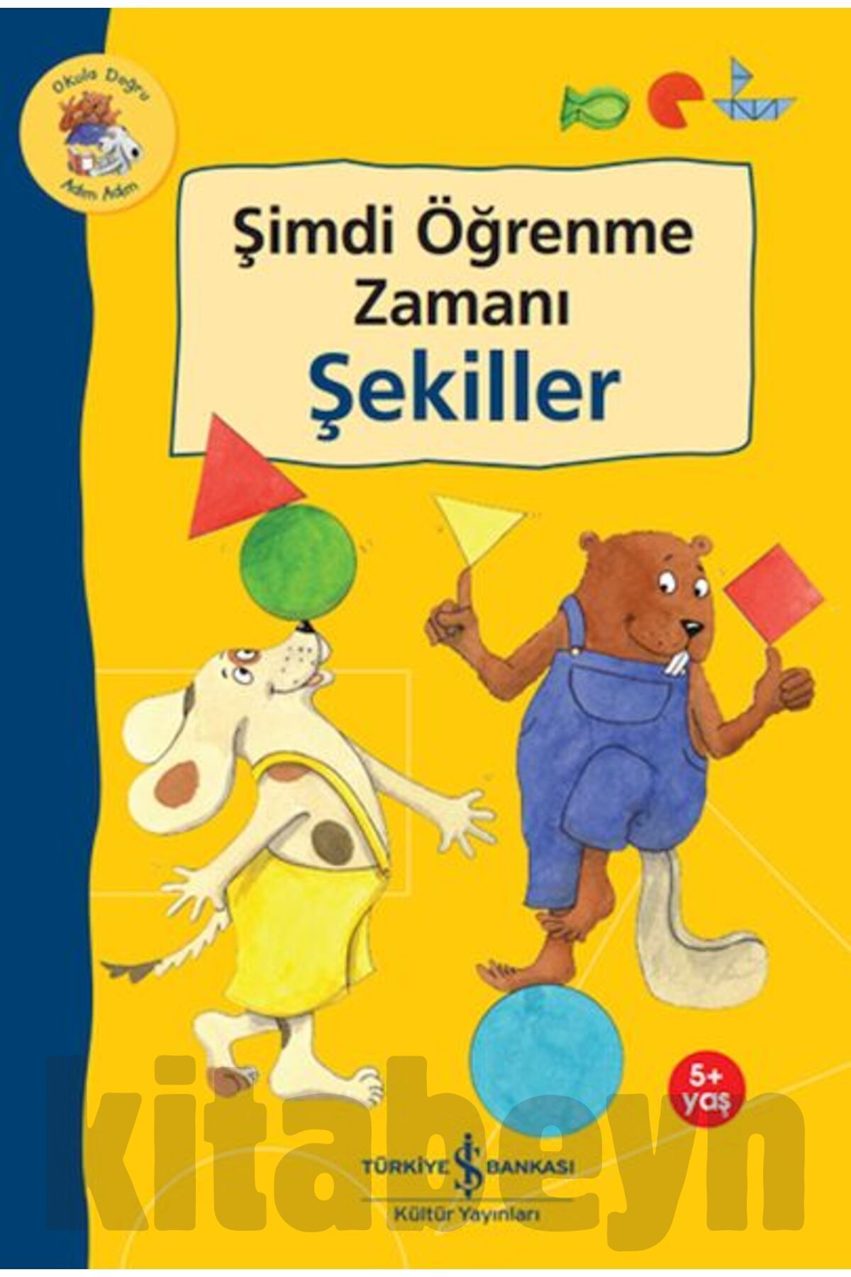 Şimdi Öğrenme Zamanı - Şekiller