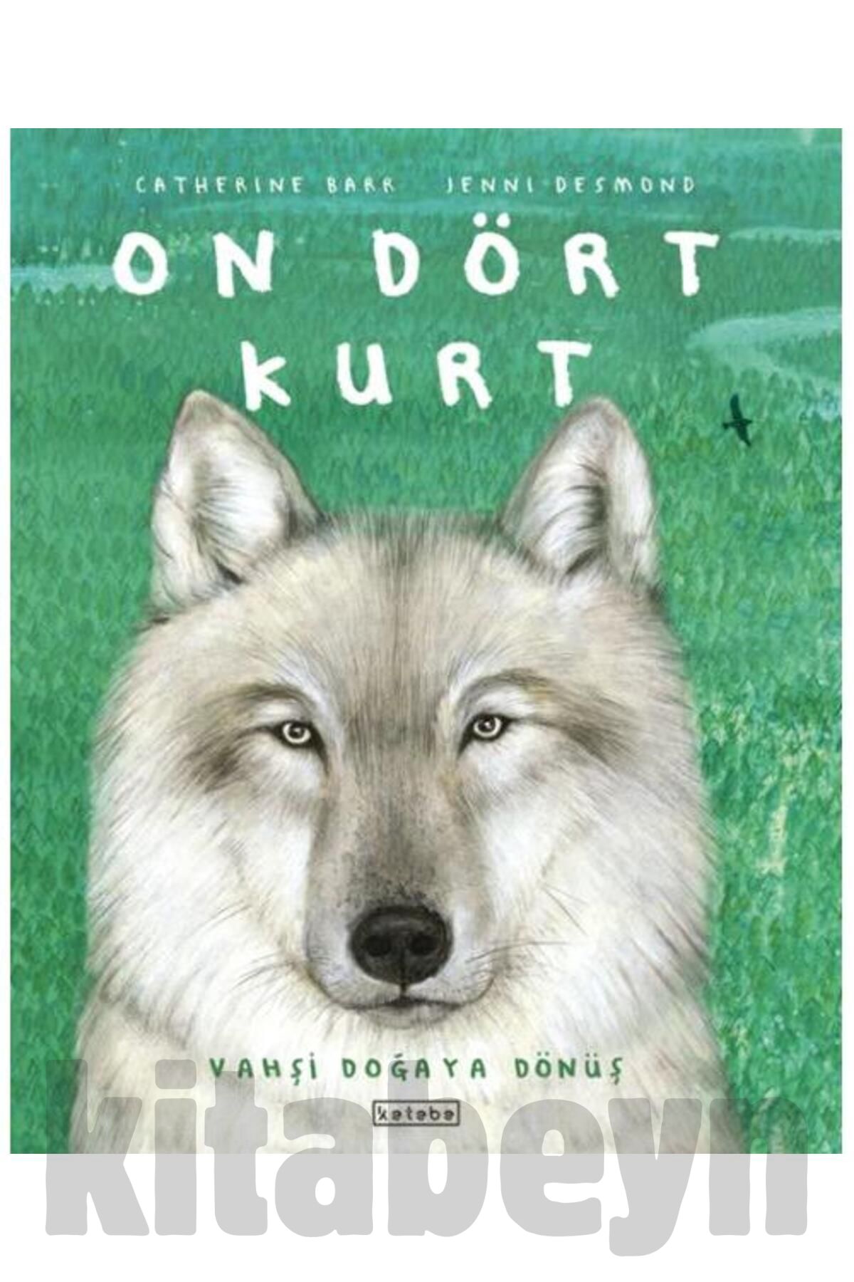On Dört Kurt / / Catherine Barr